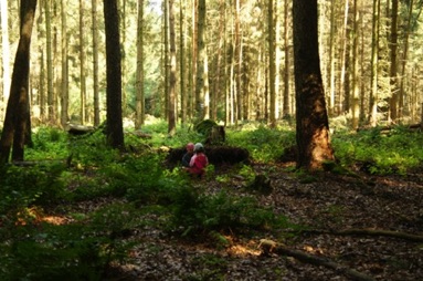 Waldkinder